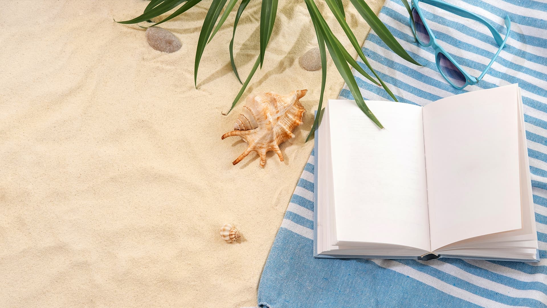 Summer training - book on the beach
